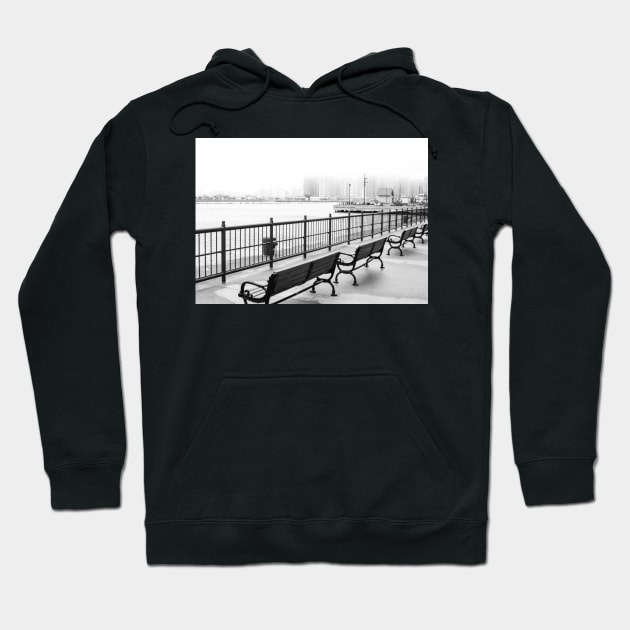 Chicago Navy Pier in Black and White Hoodie by 3QuartersToday